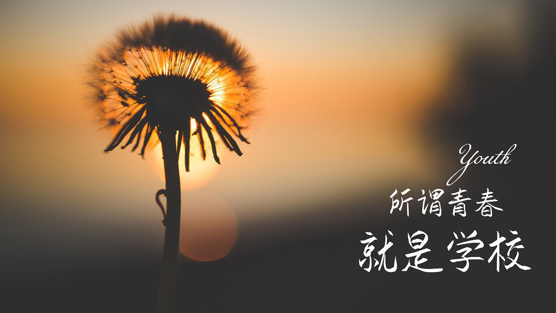 科技新高度：虚拟现实带来沉浸式观赛新体验，虚拟现实技术体验馆