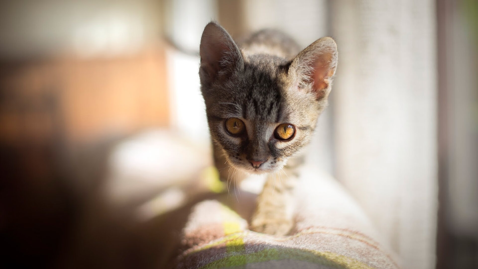 亚洲杯中国足球惨败 球迷呼吁加强基础建设,亚洲杯足球赛中国队比赛