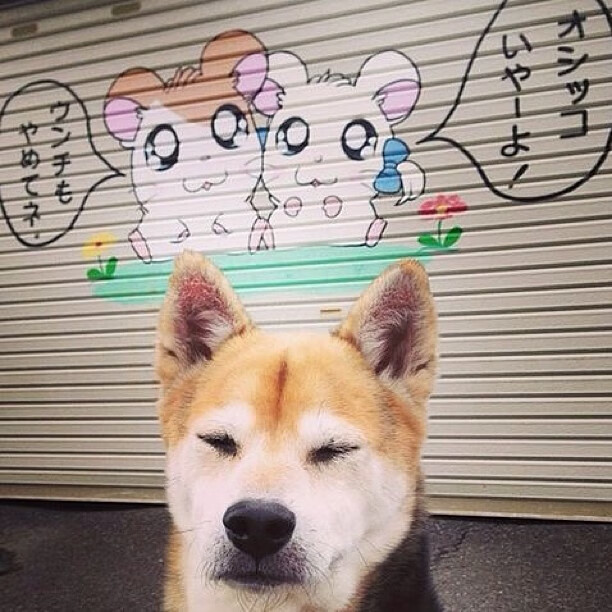 熊猫体育入口-莱德基蝉联五连冠成历史第一人，莱德基赛事