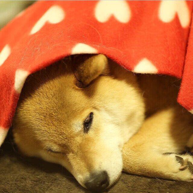 熊猫体育在线登录-美洲杯淘汰赛：精彩逆转纪录不断上演，美洲杯淘汰赛比分