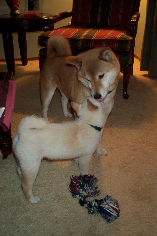 詹姆斯训练后回应休赛期交易传闻,詹姆斯再次伤退