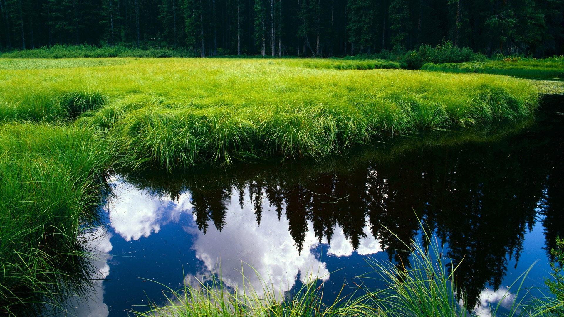 队内友谊赛激烈进行教练观察球员状态调整战术部署