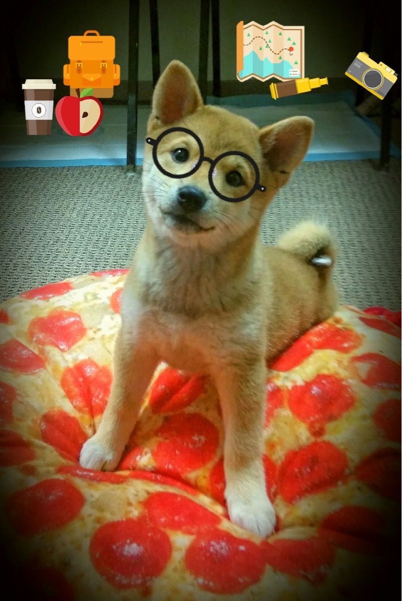 熊猫体育平台-自由泳选手转身技术精准，节省时间，自由泳转身技巧教程